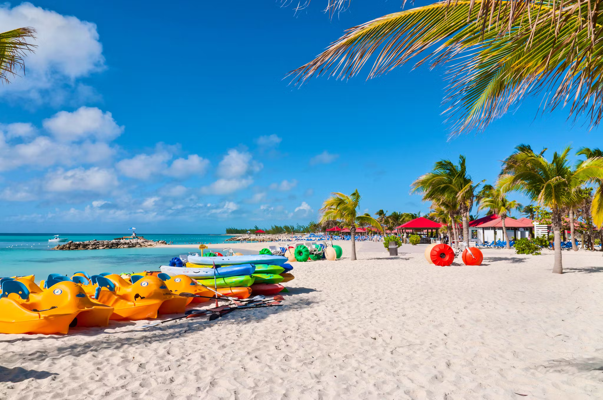 How to Plan Shore Excursions on a Budget: The Definitive Guide